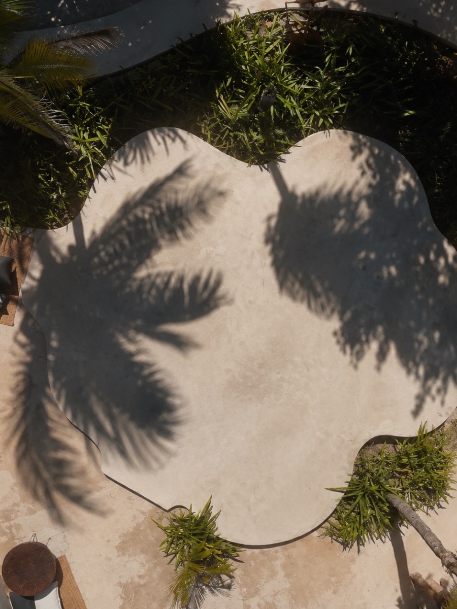 The sun draws only what the palm allows. Our pool, seen from above. 🌴

El sol dibuja solo lo que la palma le permite. Nuestra alberca, vista desde arriba. 🌴

#IslaMujeres #LotusHotel #Hotel #PlayaNorte