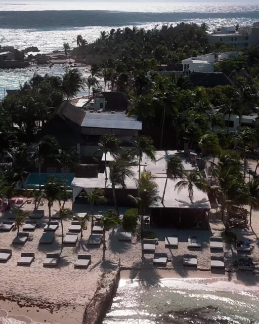 😎🏝️ Lotus is the start. The island is the adventure. Walk out. Come back. Repeat.

Lotus es el punto de partida. La isla es la aventura. 😎🏝️

www.lotusbeachhotel.com

#IslaMujeres #Hotel #Lotus #PlayaNorte