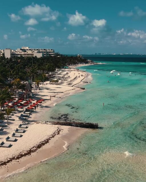 Relax by the pool, enjoy our amenities, and let yourself be surrounded by the peaceful energy of Isla Mujeres. 

Because sometimes, true luxury is having the time to enjoy it. 🌴💦
📱 Reserve your escape today: +52 1 998 751 1307

#IslaMujeres #HotelLotus #PlayaNorte #HotelesMexico #Hotels